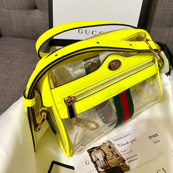 transparent gucci bag